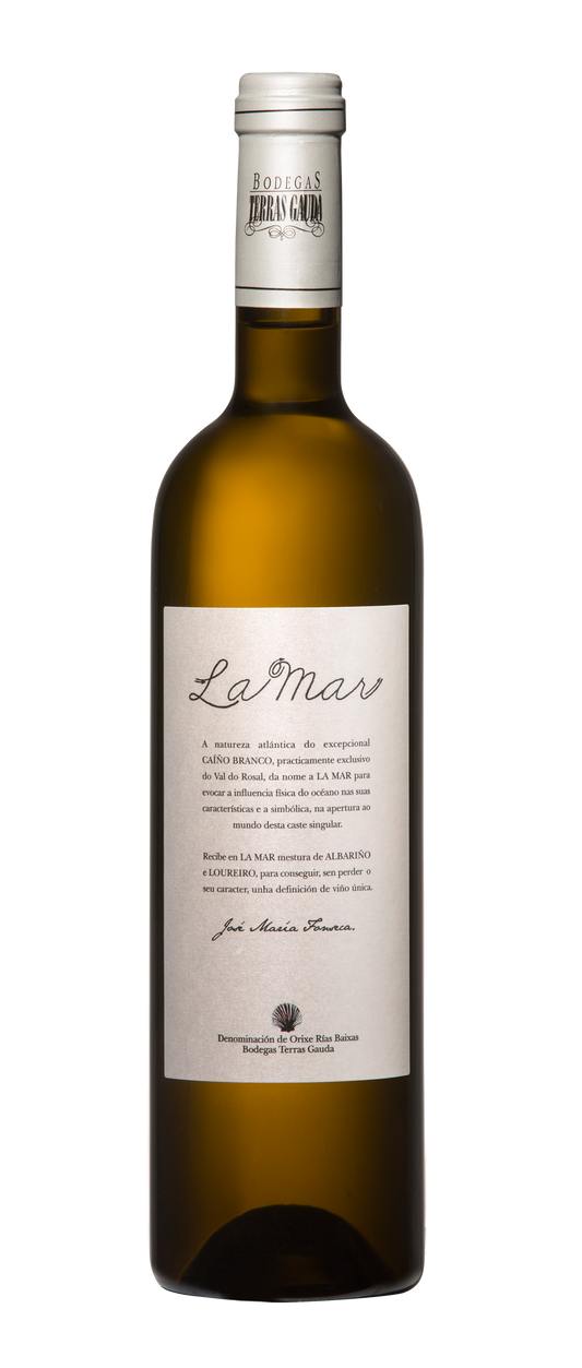 テラス ガウダ ラ・マル 2020 (027)